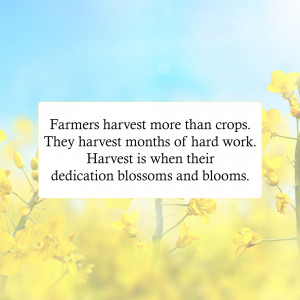 Yellow flowers with a quote about farmers and harvest