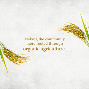 Image with rice stalks and text promoting organic agriculture and community building.