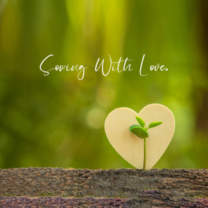 A small plant growing out of a heart-shaped piece of wood in soil