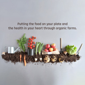 A creative arrangement of fresh vegetables and fruits growing from soil, representing organic farming.