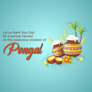 Pongal festival illustration with traditional pots and harvest elements
