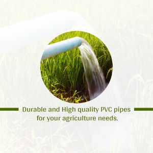 Water flowing from a PVC pipe into a rice paddy field