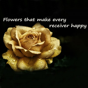 Close-up of a golden rose with water droplets on its petals