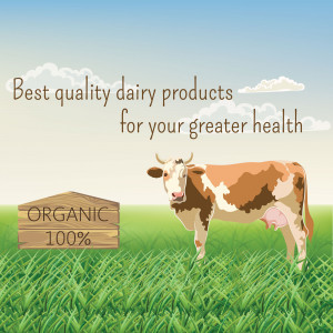 Cow in a field with text promoting organic dairy products