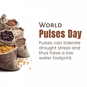 Bags of various pulses with text 'World Pulses Day'