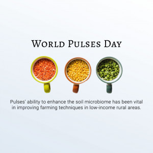 Three cups filled with different types of pulses - red lentils, yellow split peas, and green peas.