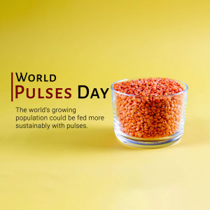 A glass of red lentils with text 'World Pulses Day' and information about sustainable food.