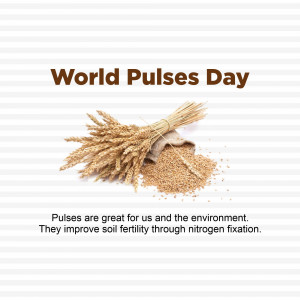 Image commemorating World Pulses Day with a bundle of pulses and grains.