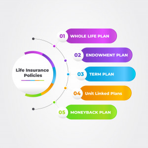 Infographic illustrating different types of life insurance policies