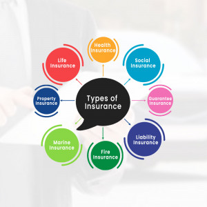 Diagram illustrating different types of insurance including health, life, social, property, marine, fire, liability, and guarantee insurance.