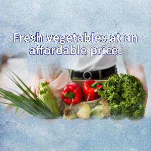 Hands holding a bag of fresh vegetables including green onions, celery, red peppers, and kale.