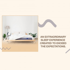 A minimalist bedroom featuring a white bed with a blue mattress, plants, and a warm color scheme.