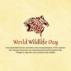 Illustration of a tiger with the text 'World Wildlife Day' and a conservation message.