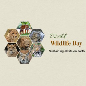 Collage of various wild animals in hexagonal shapes with 'World Wildlife Day' text