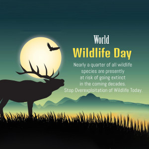 Silhouette of a deer and bird against a moonlit landscape with text for World Wildlife Day.