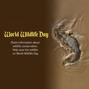 Crocodile partially submerged in muddy water with World Wildlife Day text overlay