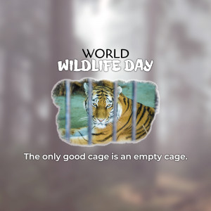 Tiger behind bars with the text 'World Wildlife Day' and 'The only good cage is an empty cage'.