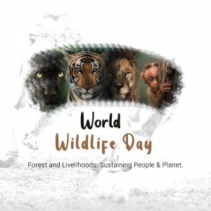 Collage of animals including a black panther, tiger, lion, and orangutan with the text 'World Wildlife Day'