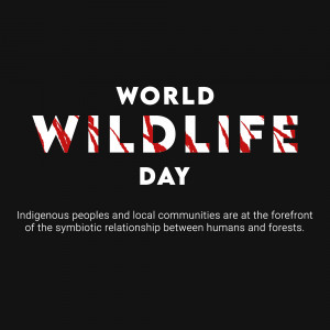 World Wildlife Day graphic with text and red claw marks