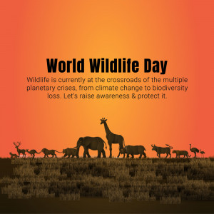 Silhouette of African wildlife against a sunset background with text 'World Wildlife Day'