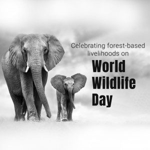 An adult elephant and a baby elephant walking towards the viewer with text celebrating World Wildlife Day.
