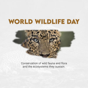 Close-up of a leopard's face with the text 'World Wildlife Day'