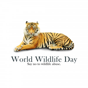 A majestic tiger lying down with the text 'World Wildlife Day - Say no to wildlife abuse.'