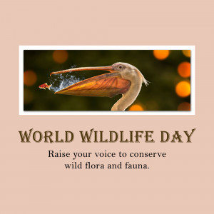 A pelican catching a fish with the text 'World Wildlife Day'
