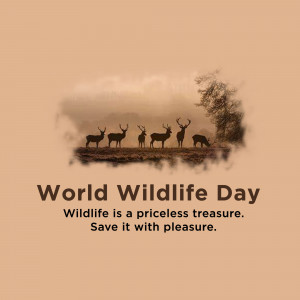 Silhouette of deer against a cloudy sky with World Wildlife Day text