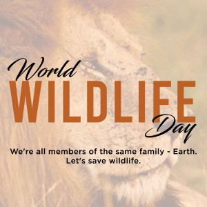 World Wildlife Day graphic with a lion and text promoting wildlife conservation.