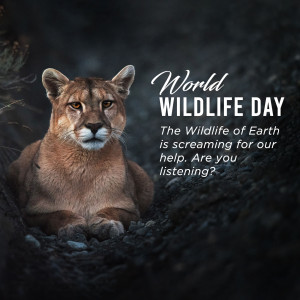 A majestic cougar lying down with text overlay reading 'World Wildlife Day - The Wildlife of Earth is screaming for our help. Are you listening?'