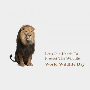 A majestic lion sitting with text promoting World Wildlife Day.