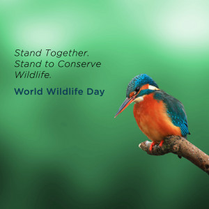 A vibrant kingfisher perched on a branch with text promoting wildlife conservation.