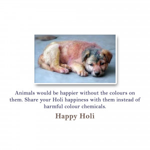A puppy covered in Holi colors with a message about animal welfare.