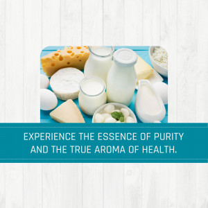 Assortment of dairy products including milk, cheese, and yogurt on a blue surface.