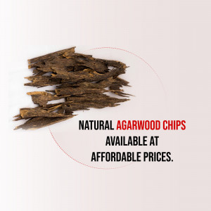 Pile of natural agarwood chips with promotional text