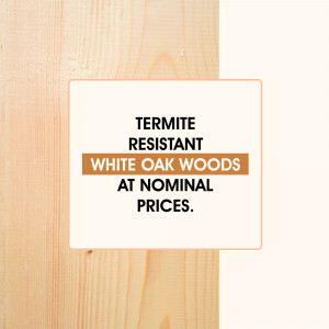 Image of a promotional graphic for termite-resistant white oak woods at Nominal Prices.