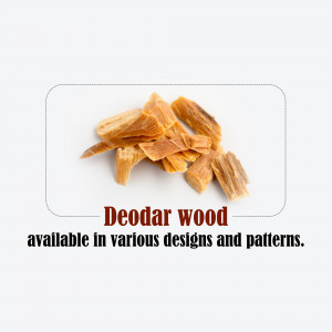 Close-up of Deodar wood pieces on a white background