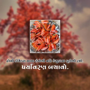 A plate of vibrant orange Flame of the Forest flowers with a blurred background of the tree itself.