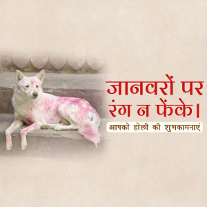 A dog with pink paint lying down with Holi greetings in Hindi.
