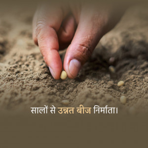 Close-up of hands planting a seed in soil