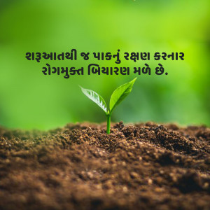 A small green sprout growing from dark soil, with text in Gujarati.