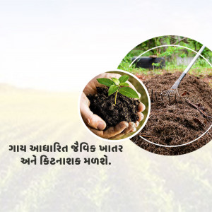 Hands holding a seedling in soil with gardening tools in the background