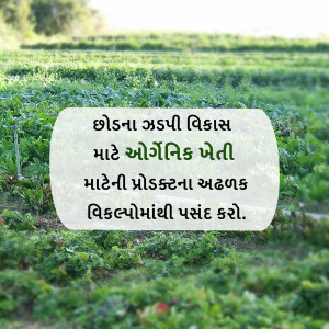 Sign in a field promoting organic farming in Gujarati