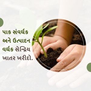 Hands gently cradling a young plant seedling in soil
