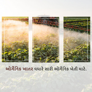 Triptych of a crop being sprayed with a pesticide or fertilizer, with text in Gujarati.