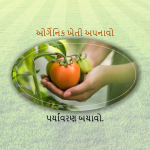 Hands holding ripe tomatoes with green foliage, promoting organic farming.