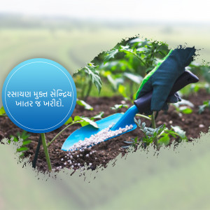 Hands wearing gardening gloves using a trowel to apply fertilizer to soil with young plants.