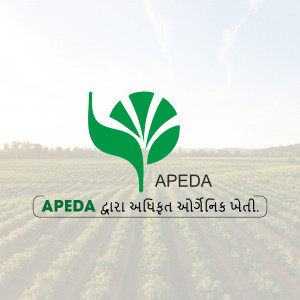 APEDA logo featuring a green leaf design over a field of crops