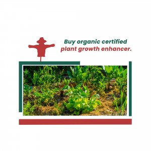 Image of a garden with a scarecrow and text promoting organic plant growth enhancer.